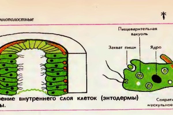 Кракен наркотики россия