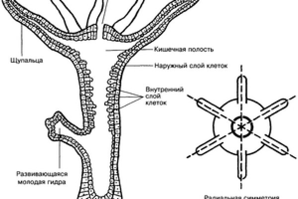 Оригинальная ссылка на магазин кракен