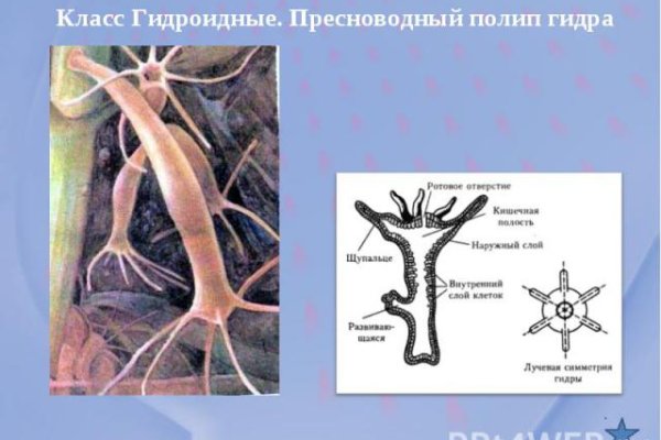 Короткая ссылка на кракен